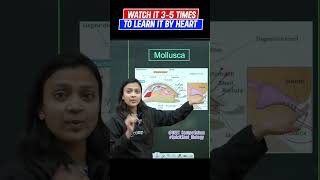 Characteristics Of Mollusca  QuickShot Biology  neet medicalentrance ncert biology neet2024 [upl. by Martreb]