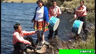 ESTRELLITA DE CHURAP PISADO RONCADORAS DIAMANTES CHURAP  HUARAZ  ÁNCASH  PERÚ [upl. by Larsen]