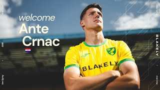 FIRST INTERVIEW  Ante Crnac signs for Norwich City ✍️ [upl. by Malva]