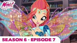 Winx Club  FULL EPISODE  The Lost Library  Season 6 Episode 7 [upl. by Naylor]