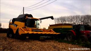 New Holland CX 780 mais dorsen 2013  Defraeye uit Moen [upl. by Khudari]