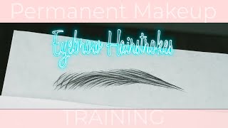 How to Draw Eyebrow Hairstrokes for Permanent Makeup Tutorial [upl. by Jackquelin]