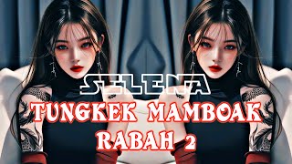 Tungkek Mambaok Rabah 2 Remix Bass Gempa  DJ Selena [upl. by Tolman]