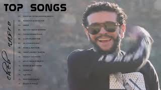 cheb nasro top songs ll اجمل اغاني الشاب نصرو [upl. by Wailoo]