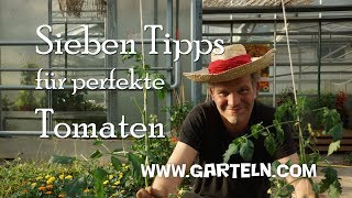 Tomaten pflanzen  Sieben Tipps für perfekte Tomaten 🍅 in eurem Garten und auf dem Balkon [upl. by Ellehsor]