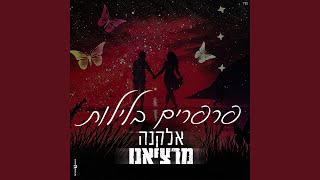 פרפרים בלילות [upl. by Keraj869]