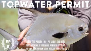 Fly Fishing for Permit on Topwater Fishing Mexican Beaches on a Day That Ends In Mayhem  Ep 8 of…7 [upl. by Venola495]