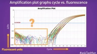 Baselines in RealTime PCR  Ask TaqMan® Ep 5 [upl. by Sihtam]