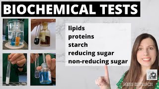 A Level Biology Revision quotTesting for Reducing and Nonreducing sugarsquot [upl. by Mastic321]