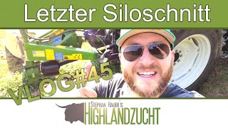 FarmVLOG 45 Herztod auf der Weide  letzter Siloschnitt  Stephan Hauers Highlandzucht [upl. by Lielos]