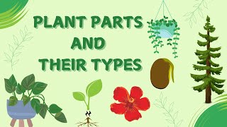 🌱 Plant Parts amp Types Explained  Fun Science for Kids 🌱 [upl. by Ahso37]