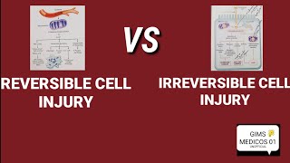 Difference between reversible amp irreversible cell injury [upl. by Assili]