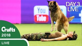 Day 3 Live Stream  Crufts 2018 [upl. by Leorsiy]