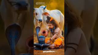 Good Morning Lord Shiva 🙏Please my YouTube channel subscribe pannunga support me🙏God bless help you🙏 [upl. by Aldrich537]