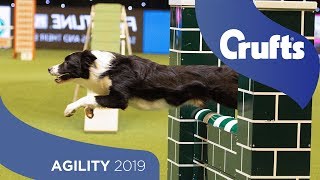 Agility  Championship Final  ​Crufts 2019 [upl. by Nimajeb]