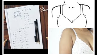 What is A B C D Bra Cup Size  ब्रा कप के बारे में जानें [upl. by Wetzel]