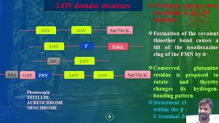 Photoreceptors Part3 THE LOV LIGHT VOLTAGE AND OXYGEN AND UVR SENSORS IN PLANTS [upl. by Twyla]