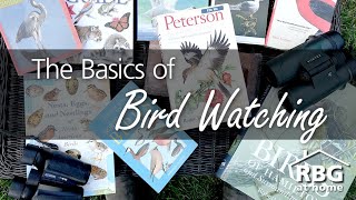 Bird Watching for Beginners [upl. by Yurik]