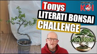 Challenge Accepted Tonys Literati Bonsai Challenge literatichallenge [upl. by Akitan]