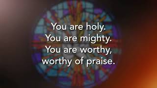 You are Holy Prince of Peace Lyric Video [upl. by Nyllij306]