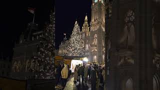 Christmas market on Rathausplatz Vienna christmas austria christmasmarket vienna christmas2024 [upl. by Mallorie]