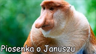 Piosenka o Januszu Ogórek Ogórek OgórekParody [upl. by Honeyman]