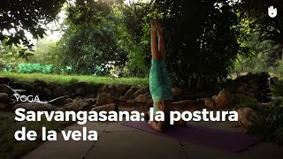 Sarvangasana la vela  Yoga [upl. by Airetahs]