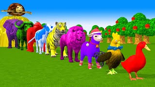 Paint amp Animals Duck Cow Gorilla Lion chicken Elephant Fountain Crossing Turtle Cartoon Game [upl. by Lannie]