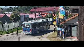 Mascarello gran micro LO915  18 Buses palomares Nickelodeon [upl. by Jens]