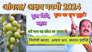 अक्षय नवमी 2024 में कब है Akshay Navami 2024 mein Kab Hai Amla navami kab hai आंवला नवमी कब है 2024 [upl. by Wirth]