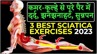 3 Best SCIATICA Pain Relief Exercises  Back Pain 2023 [upl. by Illyes196]