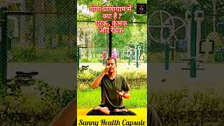 Correct way of doing Anulom Vilom Pranayam  Anulom Vilom Pranayama anulom pranayama [upl. by Ettolrahs179]