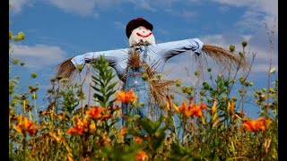 Cómo hacer un espantapájaros  Bricomanía  Jardinatis [upl. by Peria]