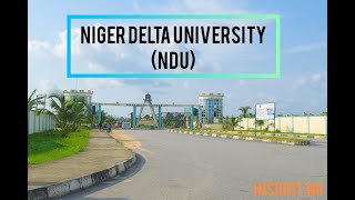 NDU Post UTME Screening Result Easy Steps to Check Now Niger Delta University [upl. by Nnaharas693]