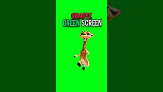 Giraffe Running Green Screen [upl. by Netsrijk841]