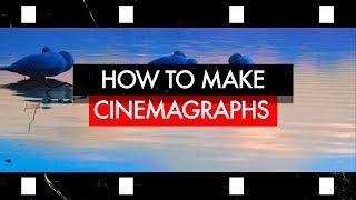 How to make your Pictures come ALIVE using a CINEMAGRAPH  Photoshop Tutorial [upl. by Anaeed]