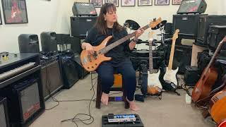 Yellow quot  Bass cover by Lorraine Haydon [upl. by Barren550]