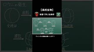 ウニの初期発生の概要【134生物】桑実胚 胞胚 板書で学ぶ生物学 原腸胚 プリズム幼生 プルテウス幼生 高校生物 勉強 生物 [upl. by Enihsnus970]