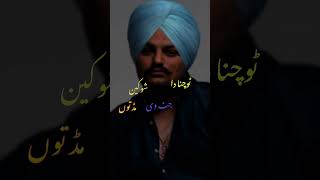 sidhu SMW 15 11 24 capcut faryaadhaidarddedilseofficial unfrezzmyaccount song smartphone accou [upl. by Grethel497]