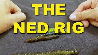 The Ned Rig Proven Tactics You Need To Know  Bass Fishing [upl. by De]