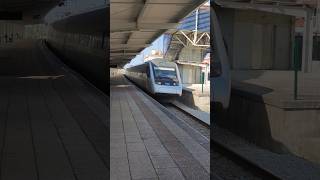 Buzinadelas do Alfa Pendular trainspotter train viralvideo shortvideo shorts video travel [upl. by Babbette]