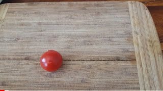 Tomaten nach dem Mondkalender selber erfolgreich ziehen Samen Ausaat super easy [upl. by Phyllis866]