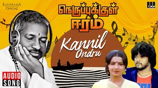 Kannil Ondru Song  Nerupukkul Eeram  Ilaiyaraaja  Thiagarajan  Ambika  Tamil Songs [upl. by Fasano]