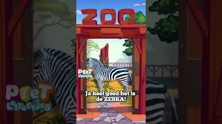 Hoorde je dat Geluid Is dat een Zebra youtubecreatorcommunity [upl. by Nellie]