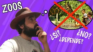 ZOOS ¿SÍ O NO  Anuncio del Directo con Sara Pinto [upl. by Cilla493]