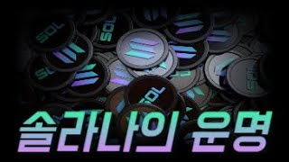 솔라나  9월 솔라나의 운명이 정해집니다 업비트 비트겟 인기급상승 비트코인 이더리움 리플 solana 시바이누코인 도지코인 [upl. by Linskey]