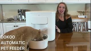 Dokoo Large Pet Feeder  Making Mealtime a Breeze [upl. by Vigor]