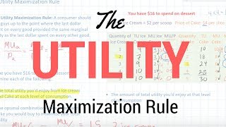 The Utility Maximization Rule [upl. by Katharyn]