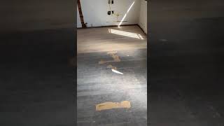 Repair and refinish 100yearold floor at Santa Ana refinishwoodfloors woodfloors [upl. by Krista]