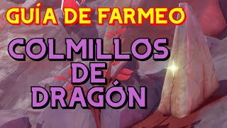 Guía de Farmeo  COLMILLOS DE DRAGÓN  Genshin Impact EN ESPAÑOL [upl. by Aniretake]